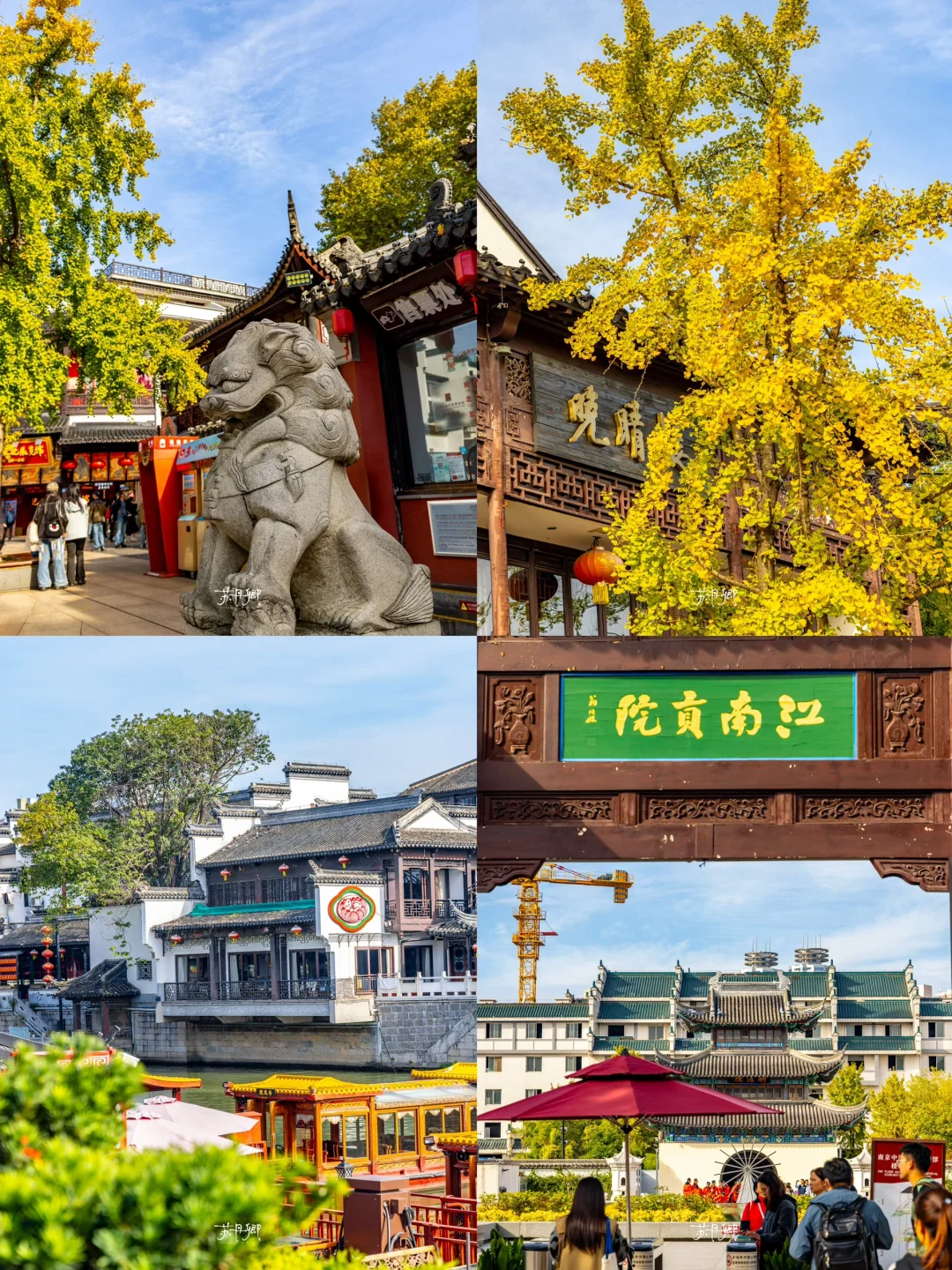 南京银杏黄啦‼️打卡夫子庙｜古建配深秋绝美