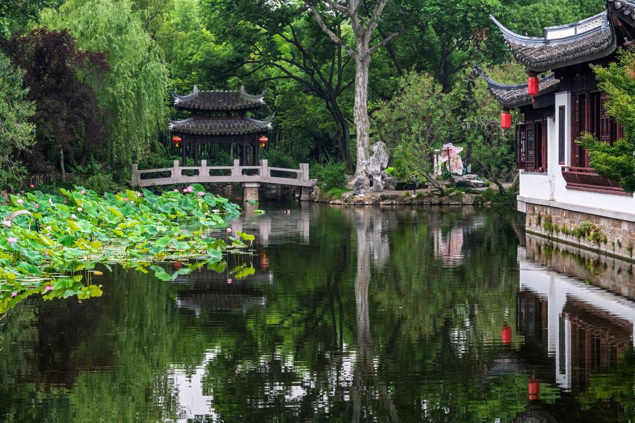 上海古猗园。上海古猗园赏江南园林 邂逅江南园林 江南园林掠影 荷韵留园