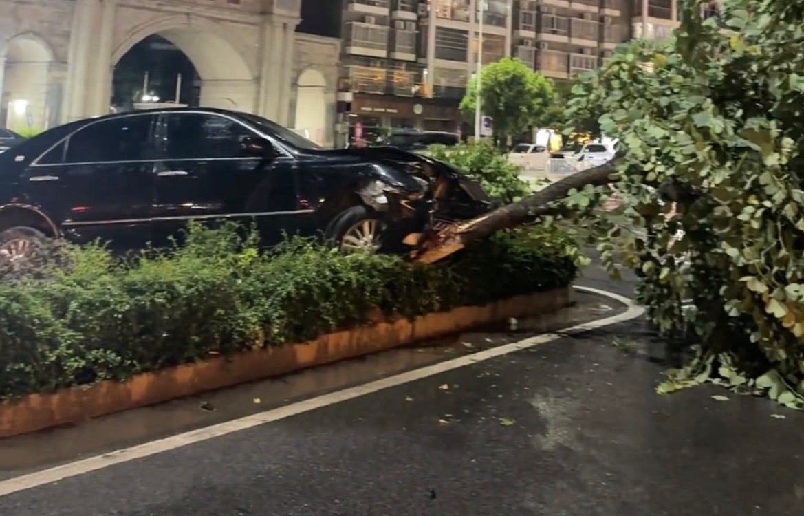 【玉林某国际门口小轿车撞倒绿化带树木】7月4日，玉林市某国际小区门口对面一辆黑色