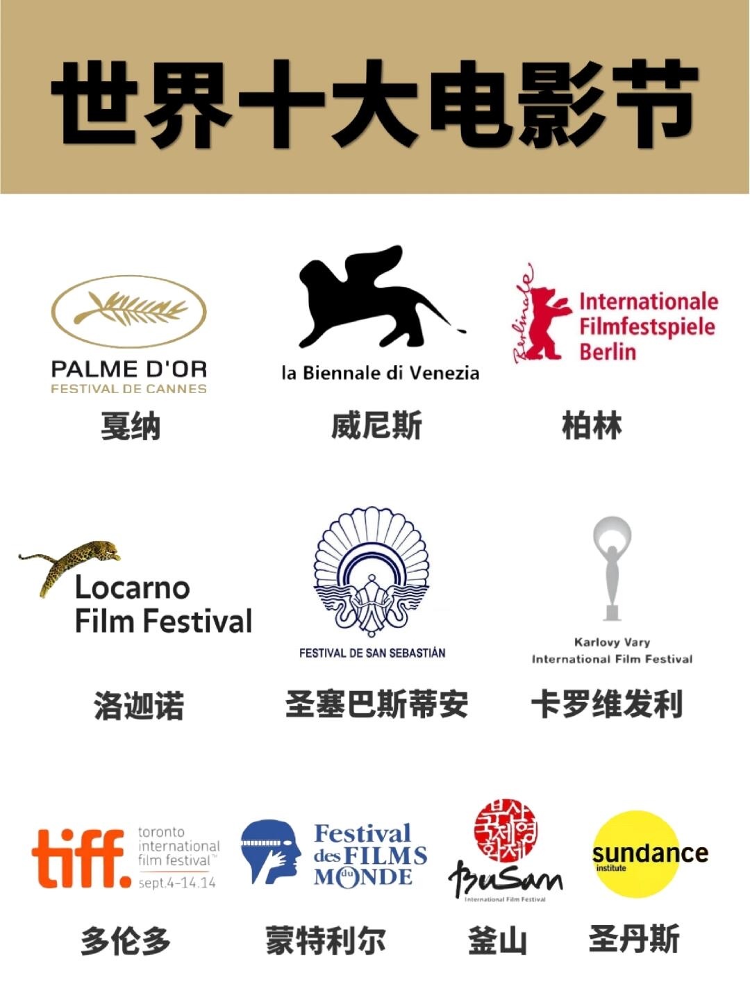 世界十大电影节辛芷蕾已入围3个，其中2部是自己一番电影《日掛中天》，另一部是《长