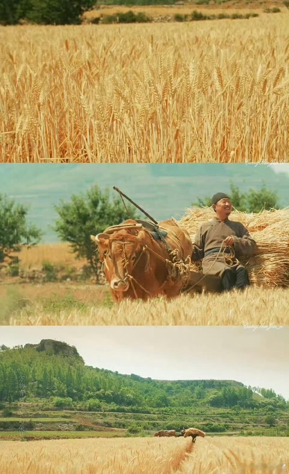 生万物封二去世真的好剧就是会把每一个人物都塑造的很出色[泪]我真哭的受不了了，不