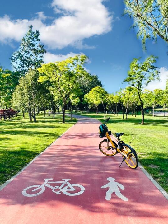 北京骑行绿道🚴‍♂️春天不能错过的踏青路线