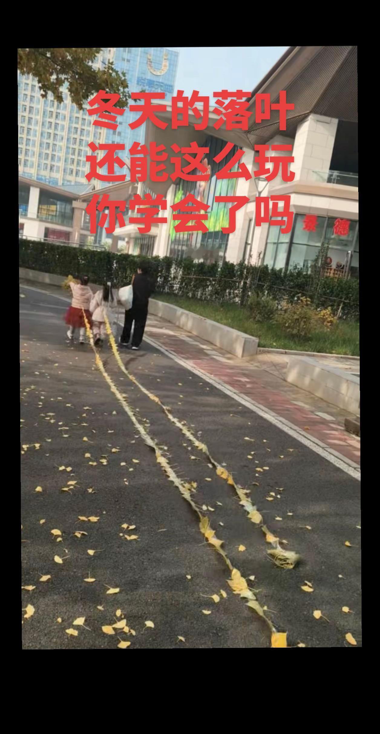 冬天的落叶 还能这么玩 你学会了吗。冬天 落叶知秋风渐凉