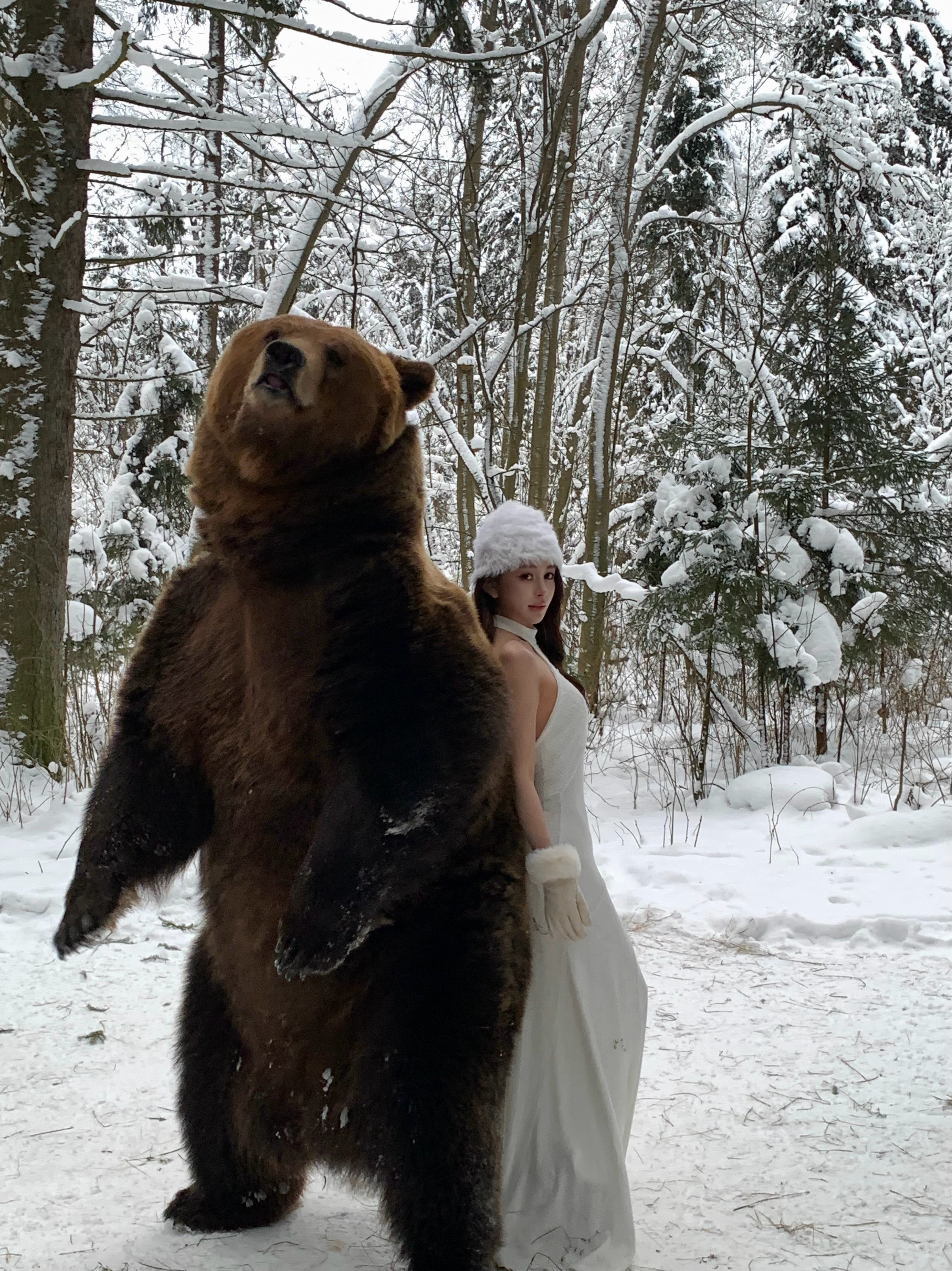 Tom🐻也太可爱啦 超级乖 很好撸 俄罗斯俄罗斯Tom熊 俄罗斯联邦