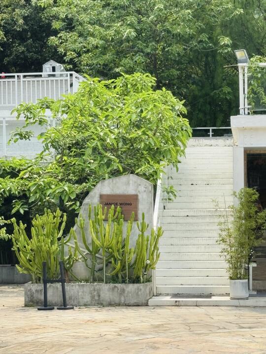 🪵藏在咖啡杯里的绿野仙踪🌿