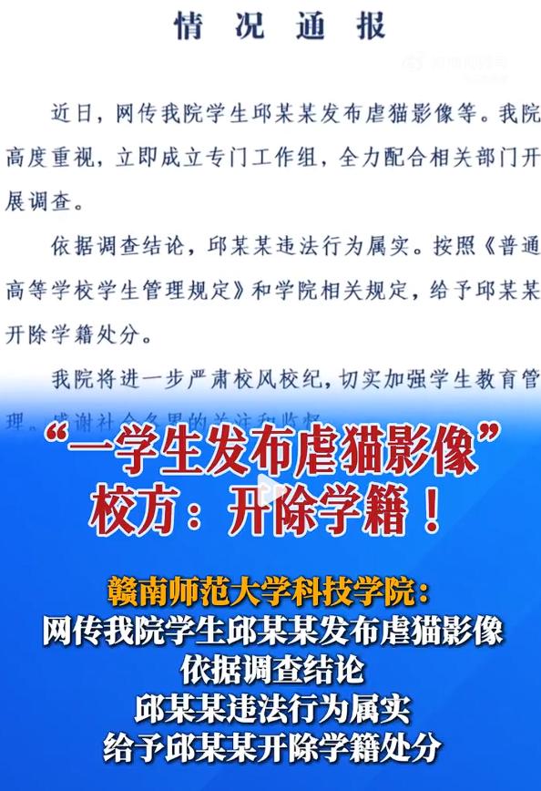 发虐猫影像学生自称已开始虐猫6年，现在这名大学生已经被开除学籍，同时，我建议家长