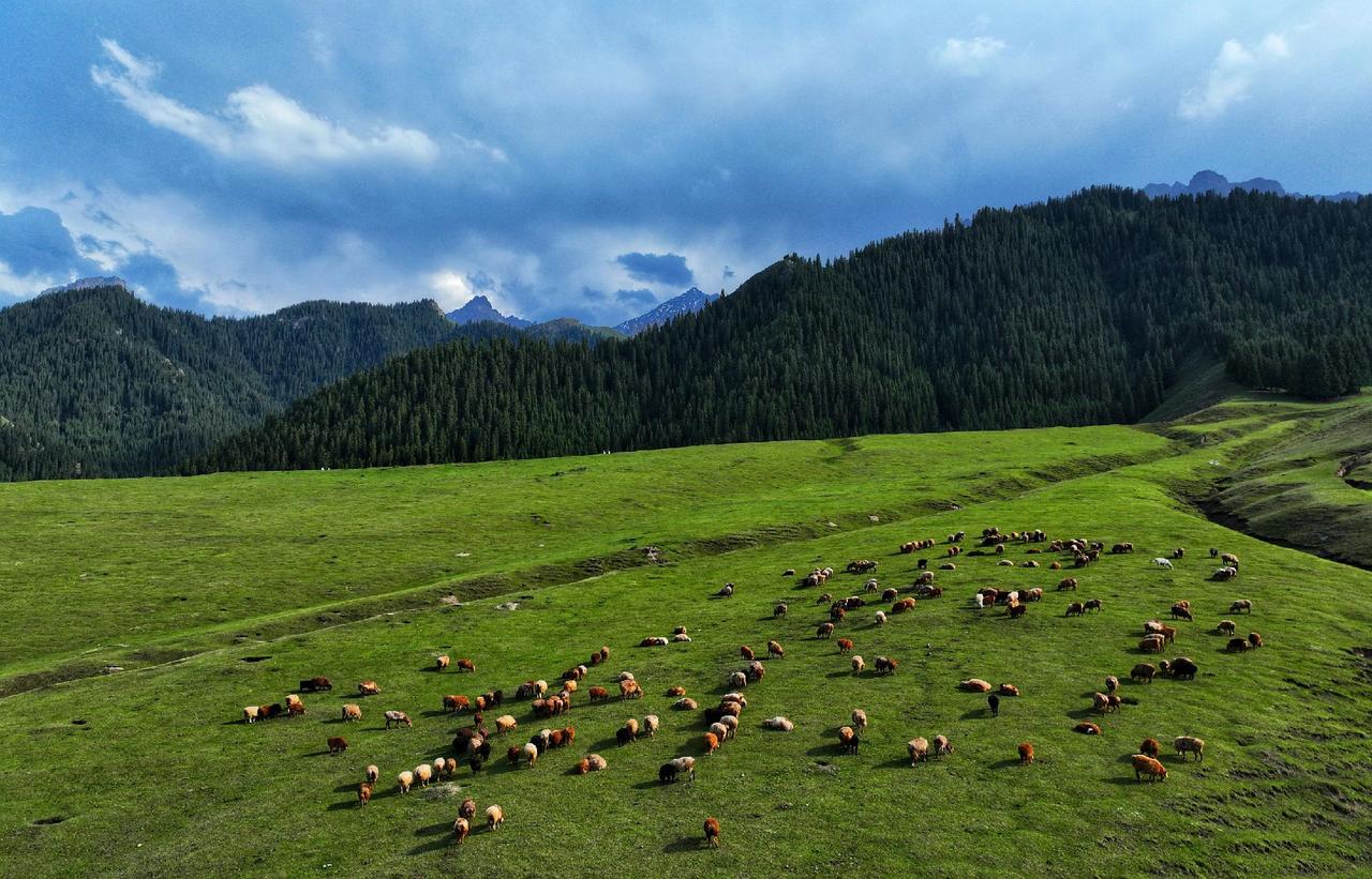 自驾新疆也是一种顶级体验都忘记了自由的感觉了~~