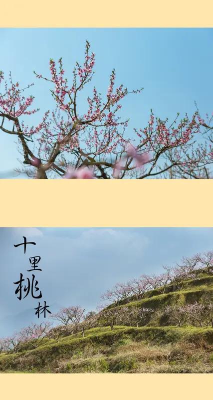 渔歌子
十里桃花拂面柔，
小园香径故人游。
思渺渺，梦悠悠，
新词一阙许多愁。