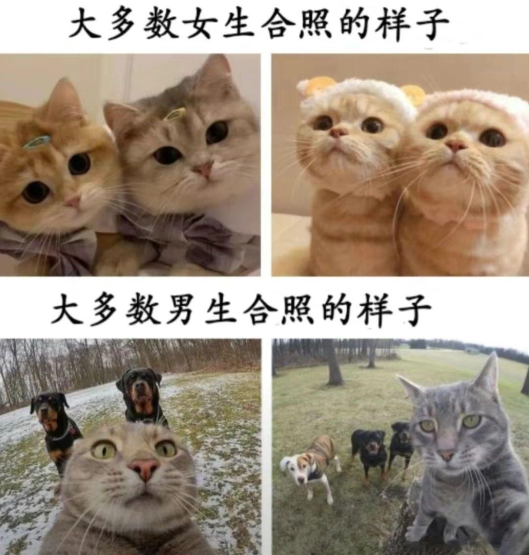大多数男女生合照的区别 ​​​