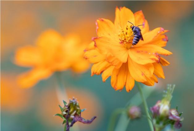 女人要靠自己的理由是什么特别是结婚后的女人，女人真的是钢筋混凝土做的