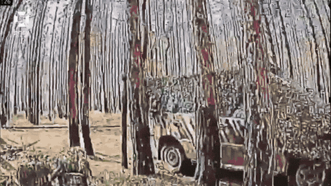 惊爆！赫尔松州森林里，俄军一小队正前进，乌军无人机却突然来袭！