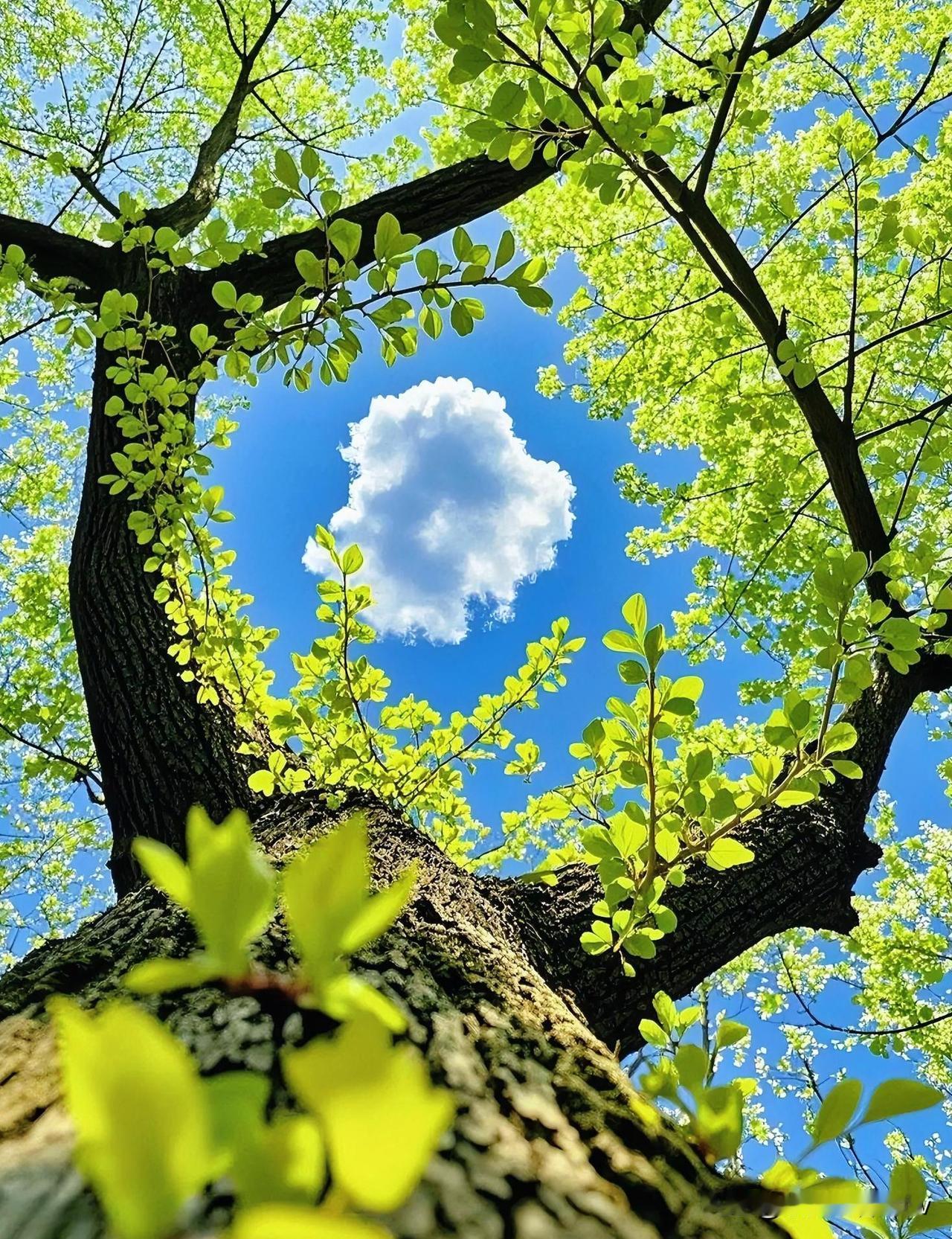 人这辈子，最傻的行为就是：

为了不值得的人生气，为了无关紧要的事内耗。

你越