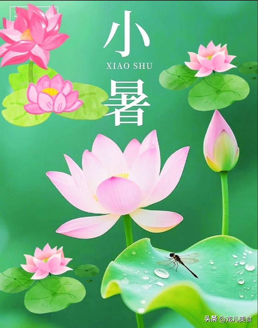 荷风送暑至，时逢小暑天！今日小暑是“凶日”，无论多忙，记得：1不去、2要吃、3不