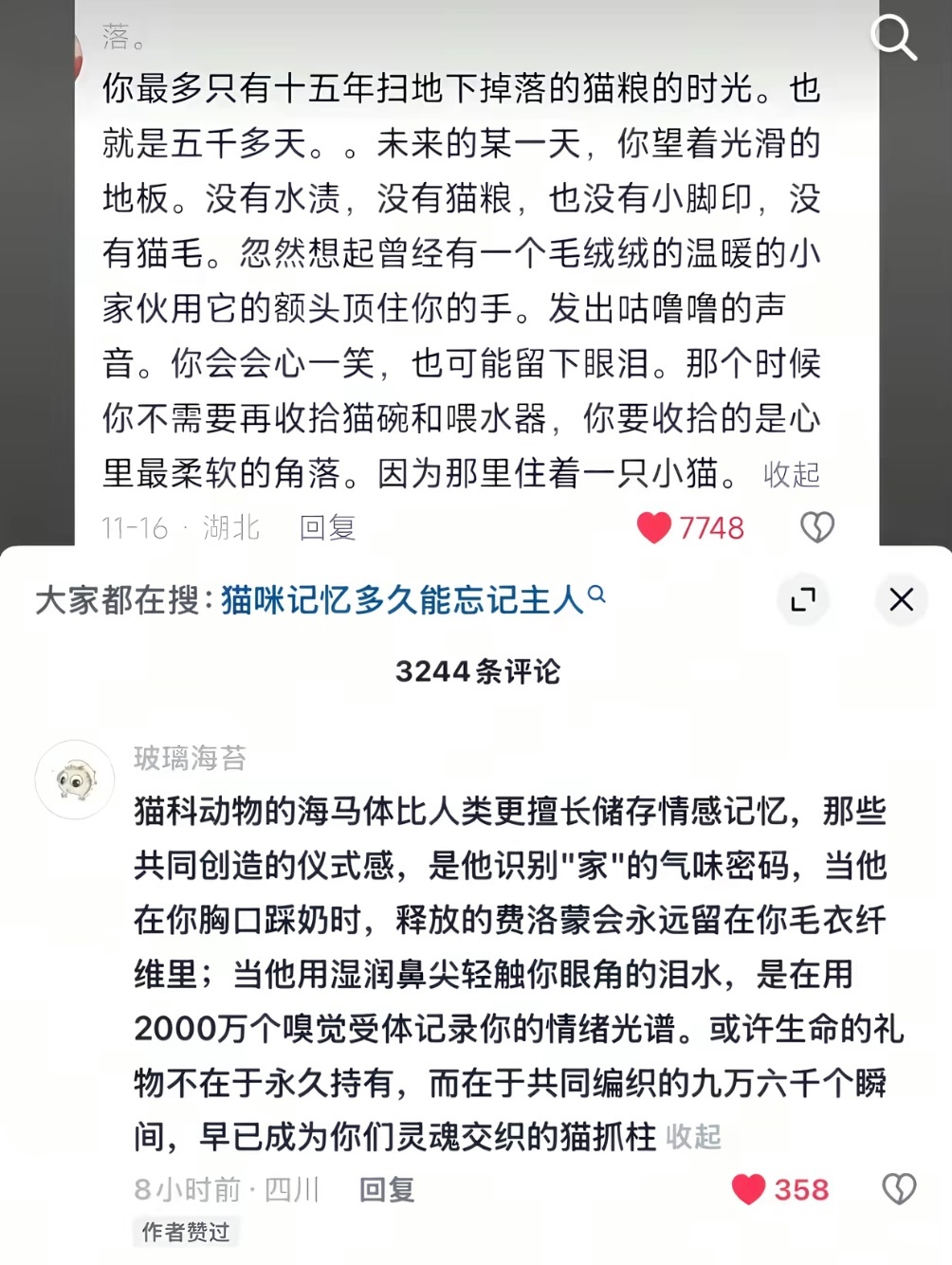 失去你是一件连想想都要掉眼泪的事😭 