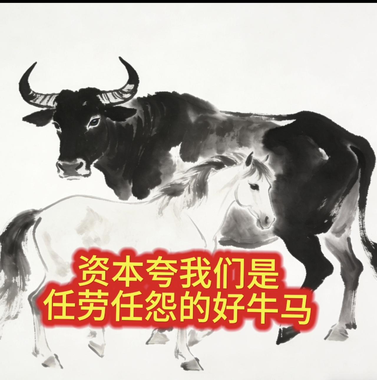 资本夸我们是任劳任怨的牛马，艺术赞我们是酸溜溜的酸黄瓜，专家心疼我们是韭菜割了一