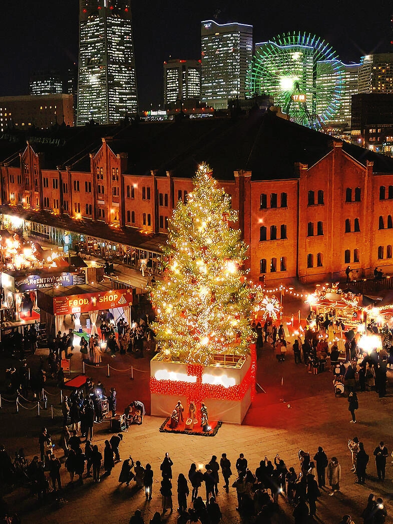 东京2025圣诞🎄点灯&市场&乐园攻略（附日期