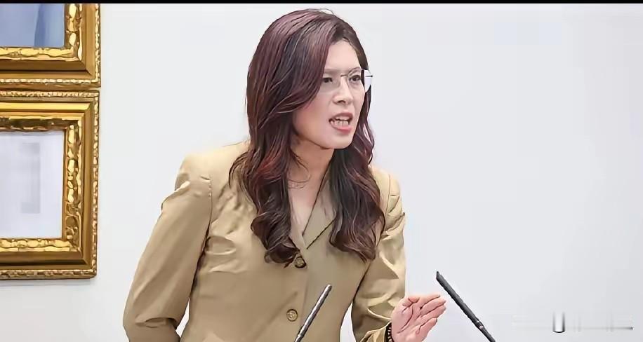7月全代会风波：看似逼宫下架，实则是国民党十几年病根的总爆发
 
近期岛内舆论持
