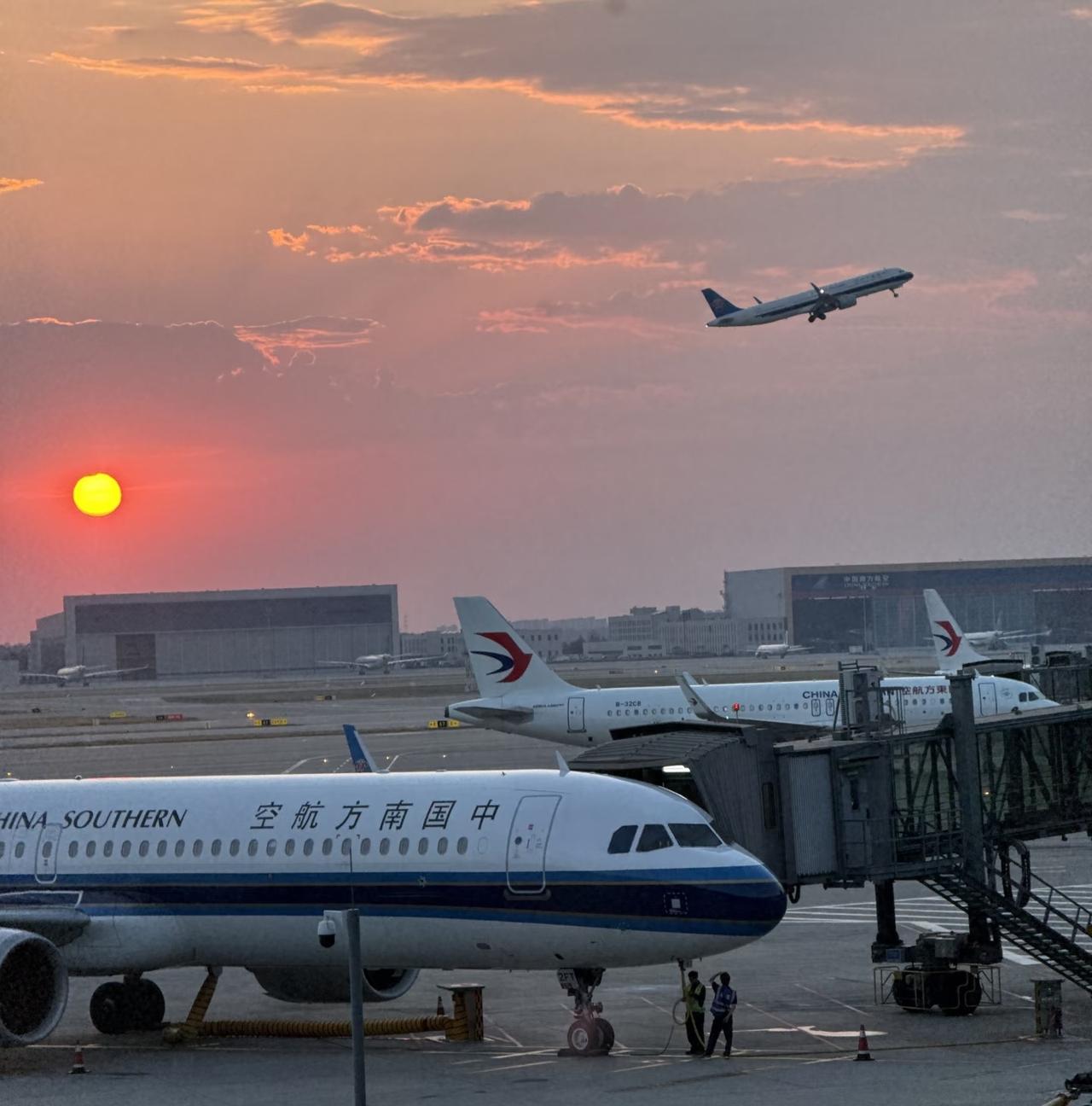 国内8家航司经济舱口碑排名：
 
1. 厦门航空
2. 四川航空
3. 中国南方