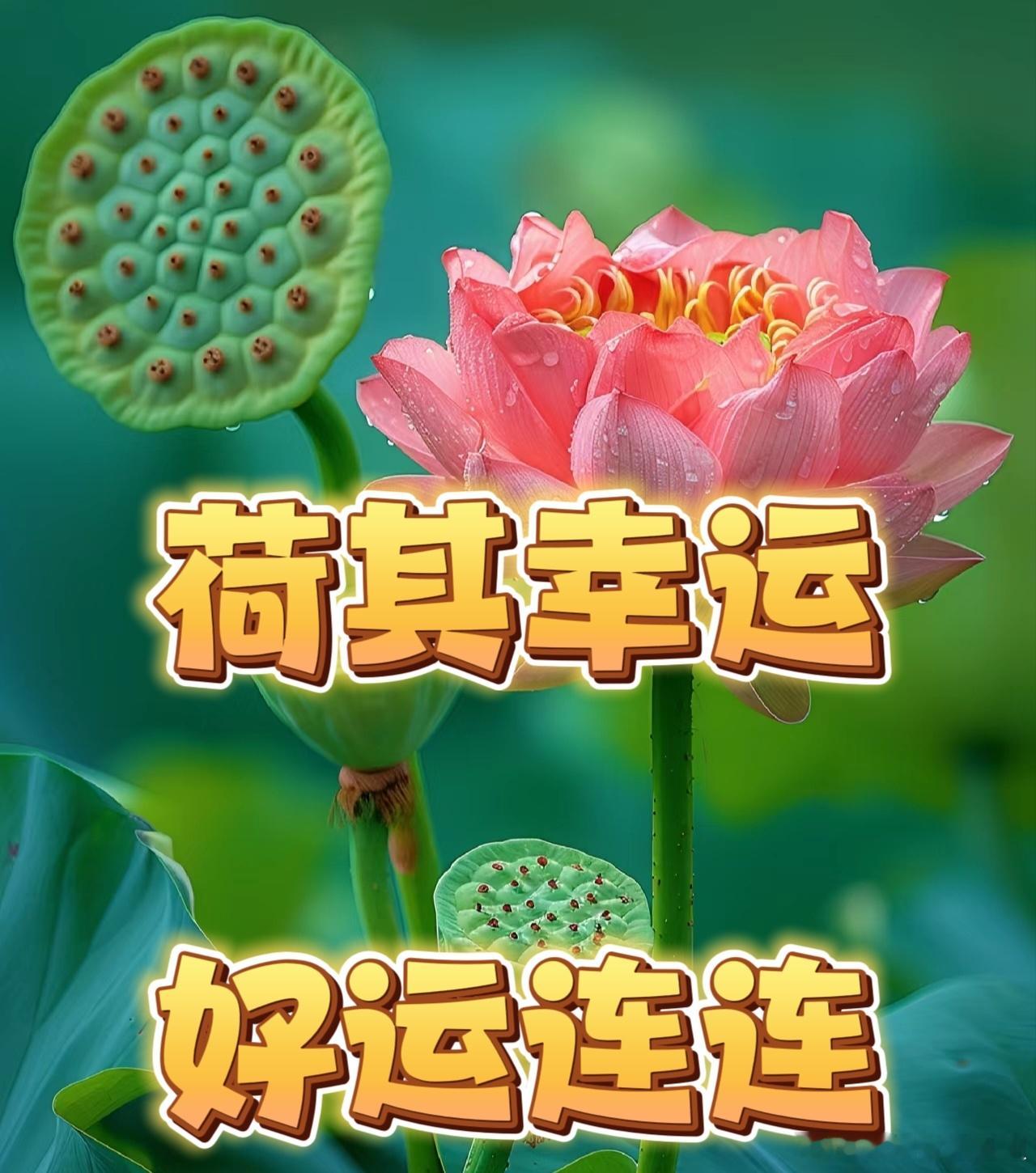 7月好运！没有过不去，只有回不来！ 