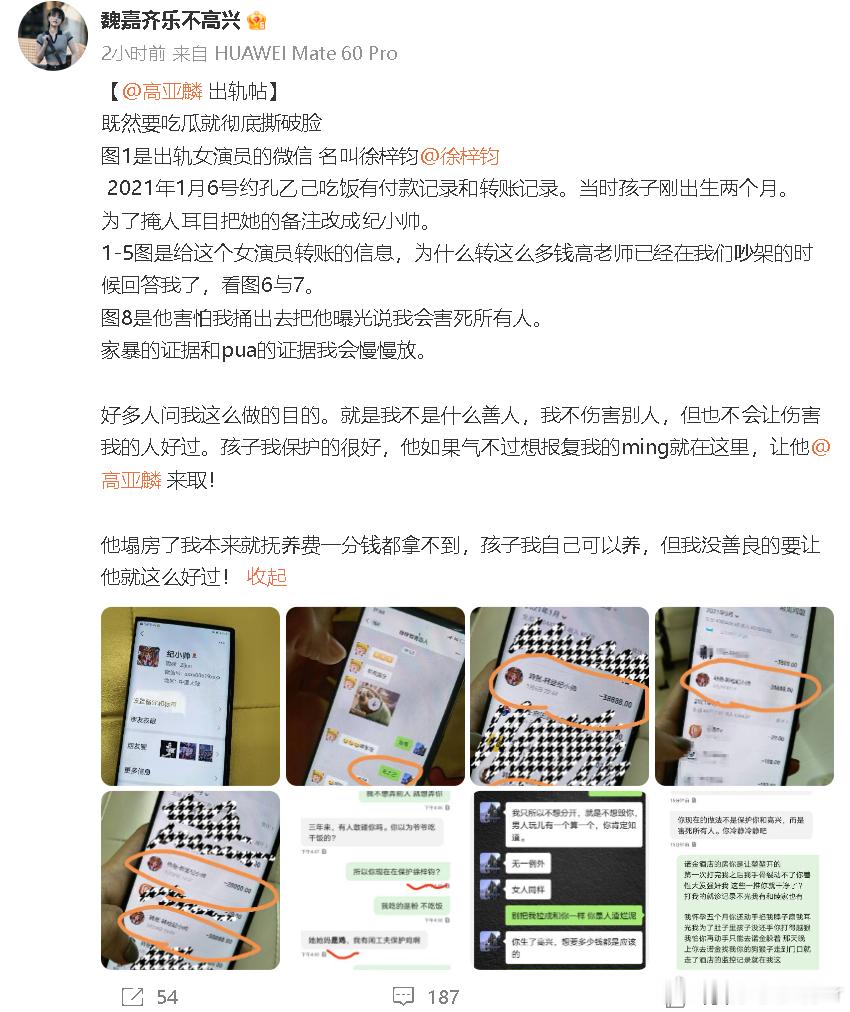 一大早就有大瓜，高亚麟被曝孕期出轨，演员魏嘉今日爆料称遭到高亚麟出轨家暴，魏嘉曾