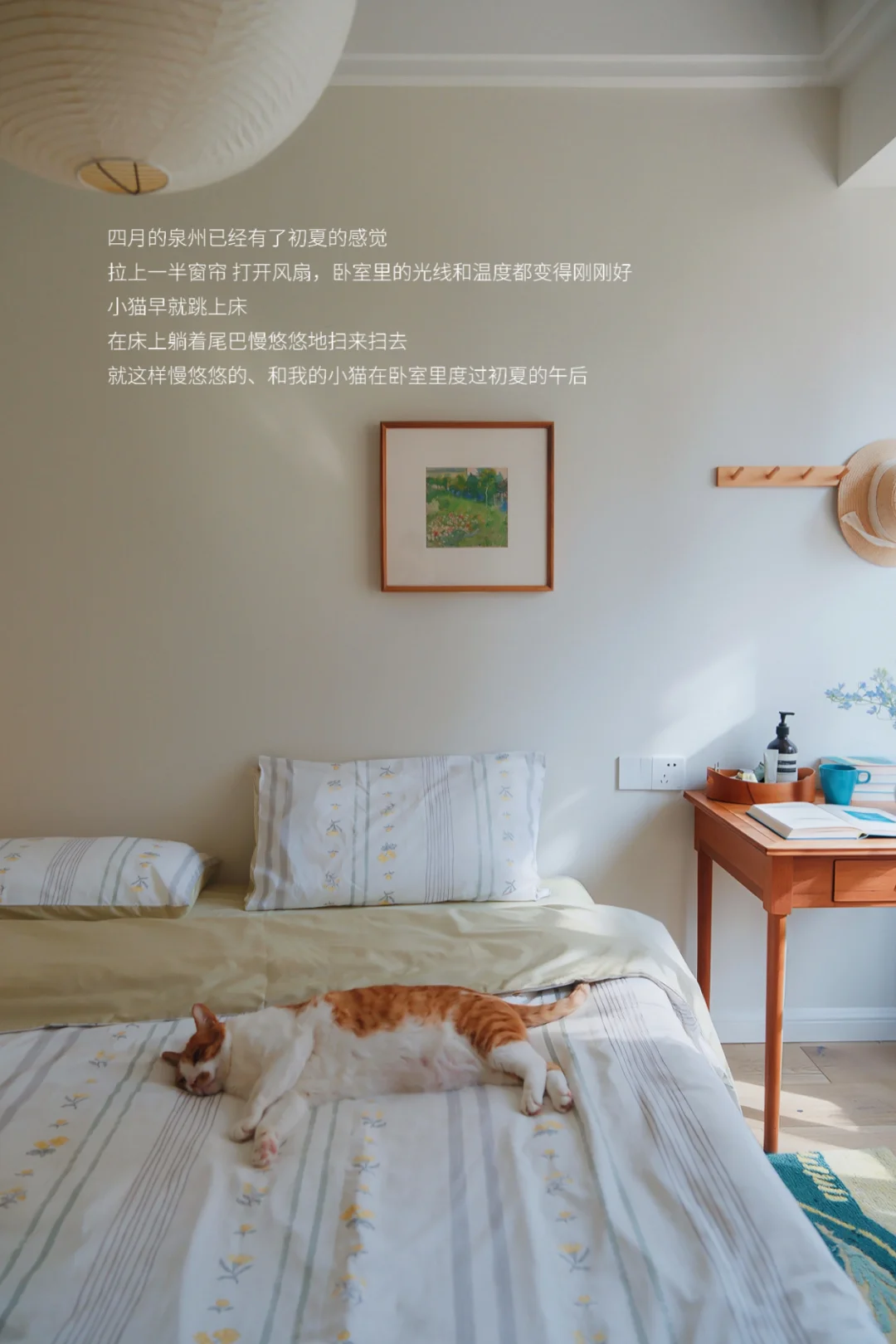 初夏，和小猫宅在卧室里的午后🐈🌿