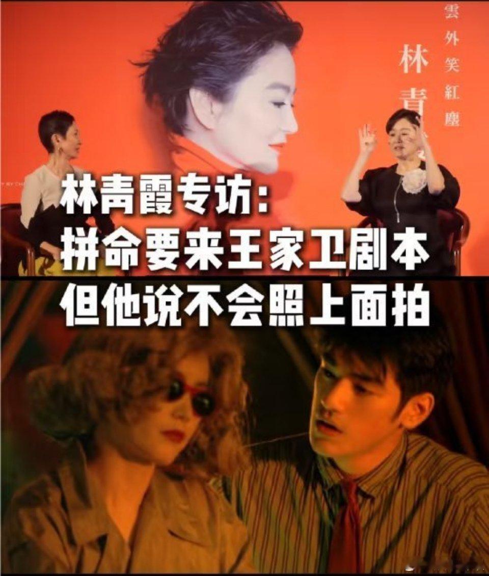 林青霞 拼命要王家卫剧本 王家卫受害者联盟横跨中日韩，每个演员都想演王家卫的戏，