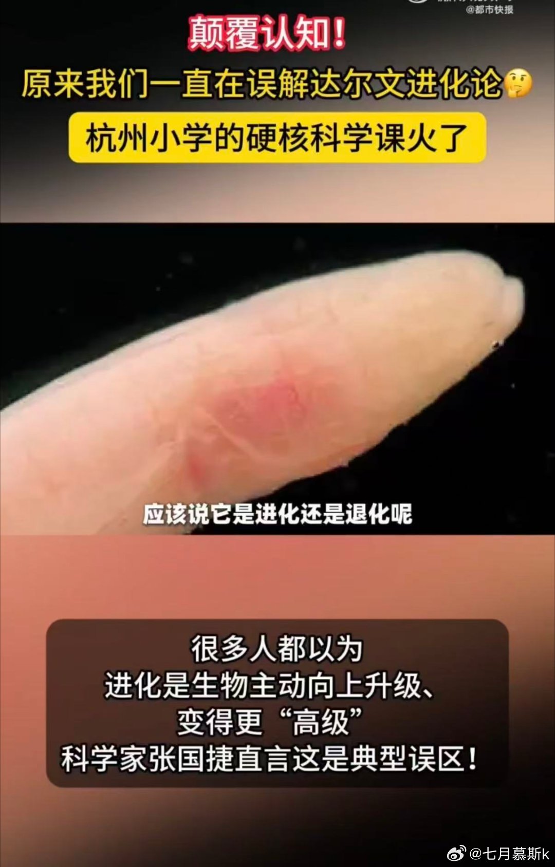杭州小学的硬核科学课火了 儿童节，你还在误解进化论吗？科学家张国捷说，进化不是生