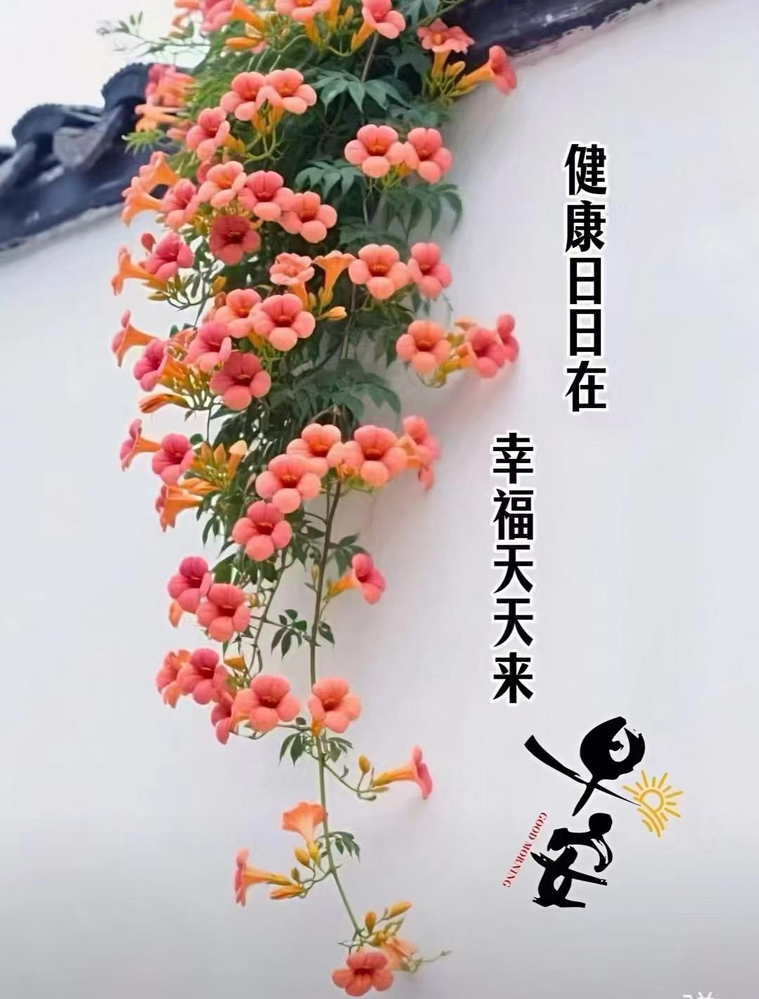 快乐是我们的追求；
幸福是我们的目的；
长寿是我们的理想; 
健康是我们的所有；