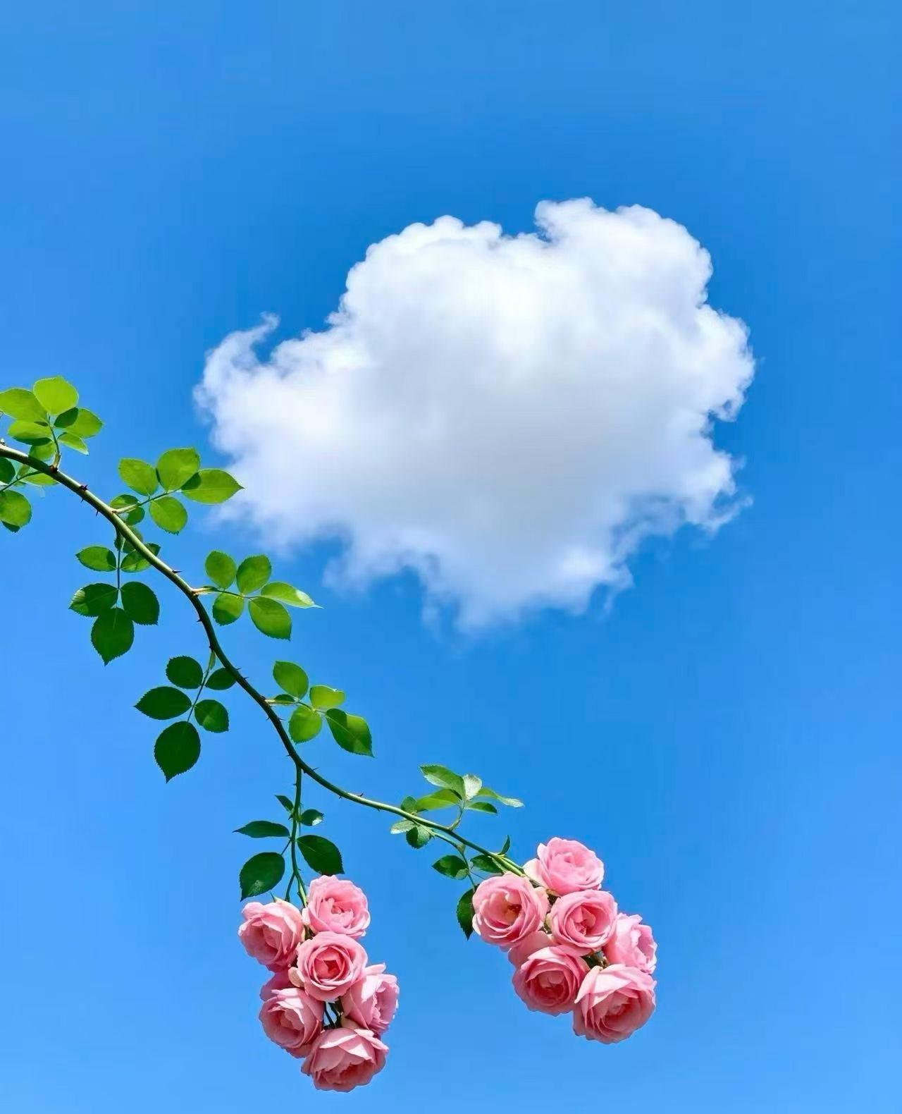 谁来保护我？--一名老师的呐喊
在如今这个社会，你戳坏任何一个人的眼睛，导致轻伤