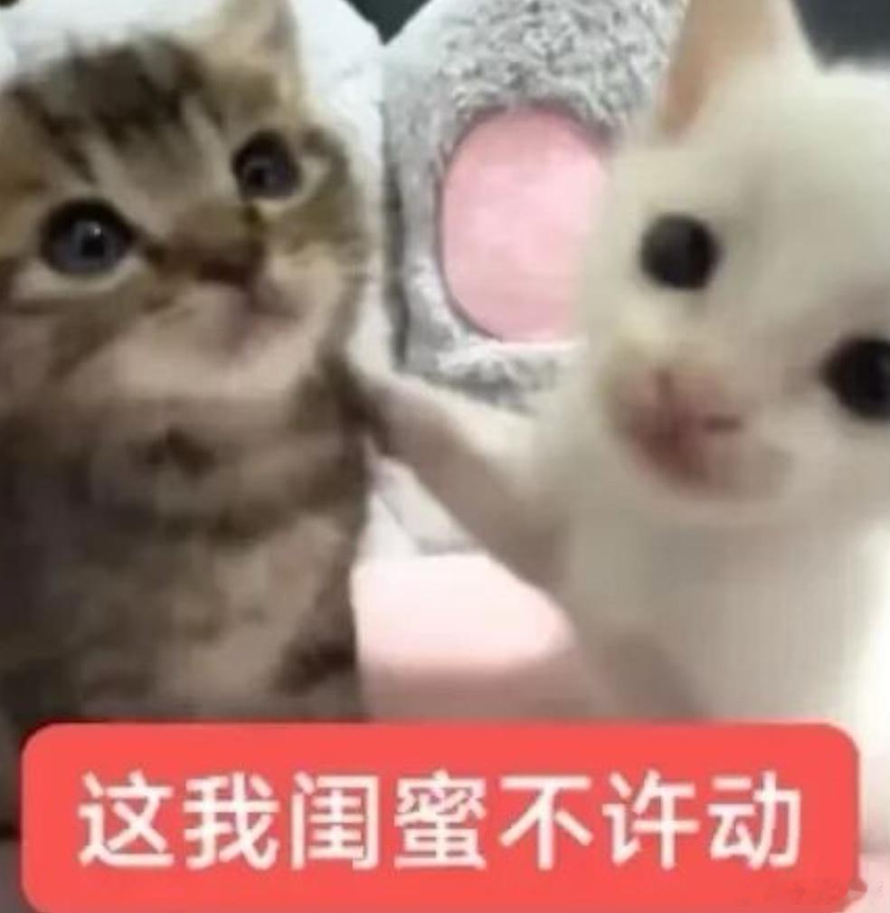 分享图片 