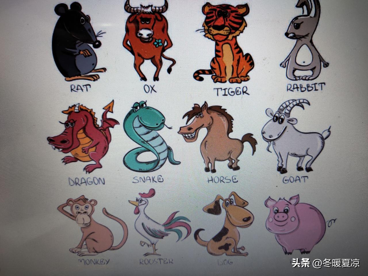 十二生肖不宜做的事
 
1. 兔，不宜去西方。
2. 蛇，不能进寺庙。
3. 马