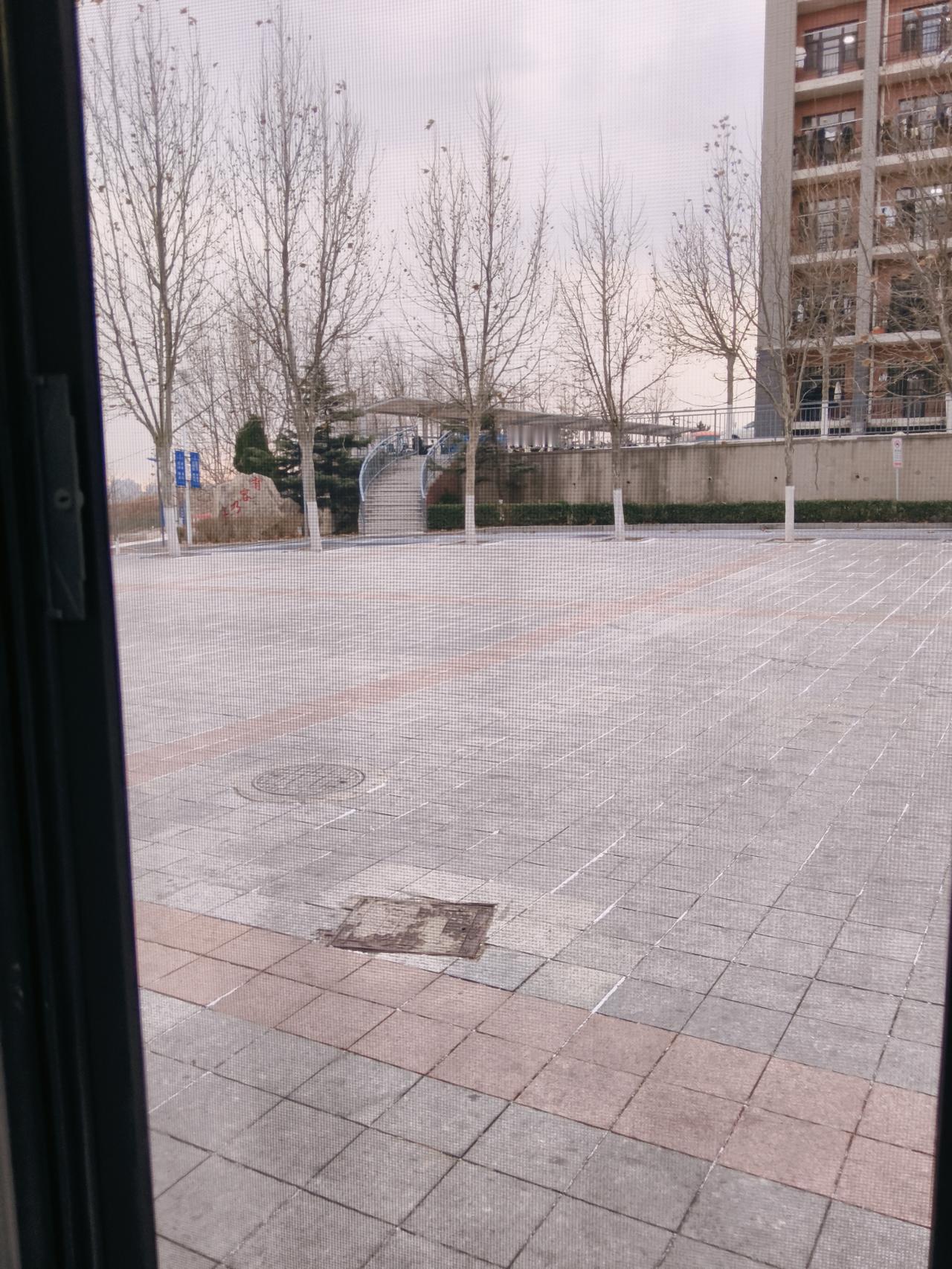 你悄悄的来，
2025年冬天大连开发区的
“幼雪”，
怎么能叫幼雪呢？就是你用常