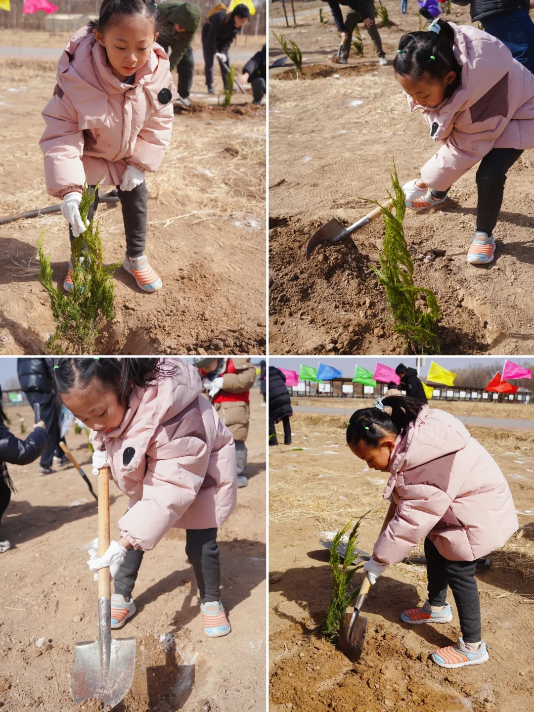 春游记|植树养桑蚕，春天的满满仪式感