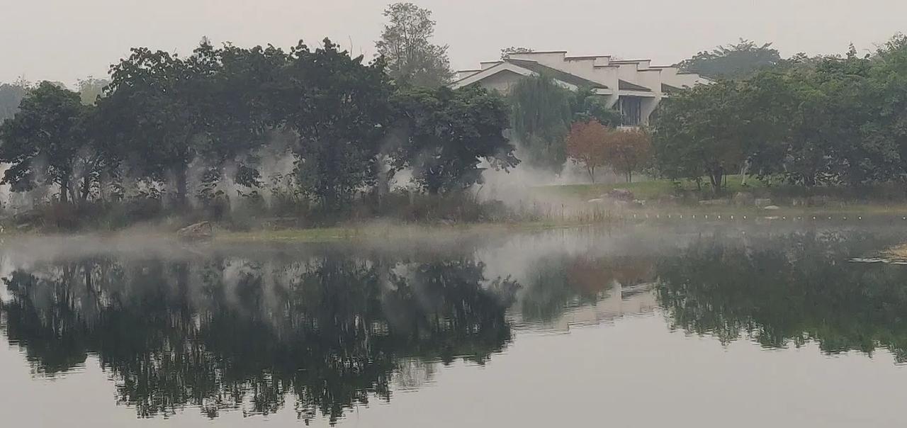 渔家傲·《薄情》

窗外小雨仍未停，愁尽居家难出门。顿时没了游玩心。怎奈何。久盼