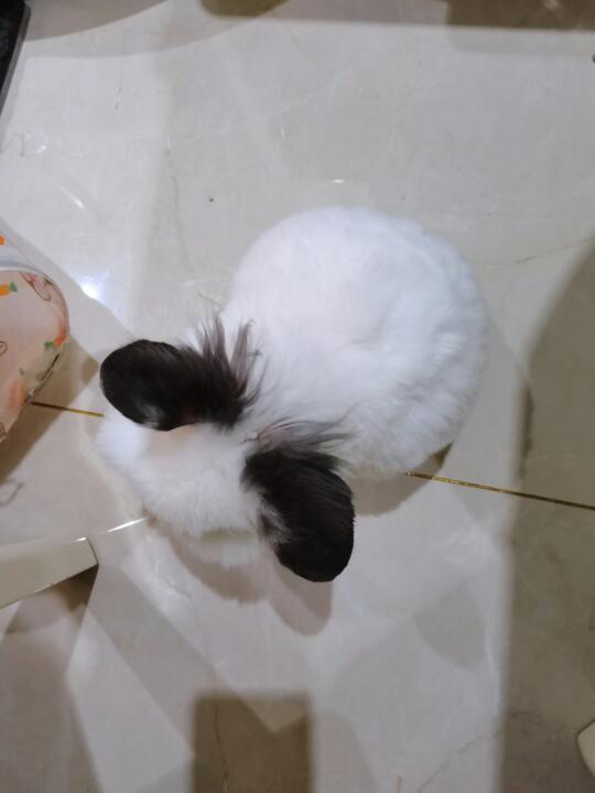 最近好喜欢小宝的俯视视角