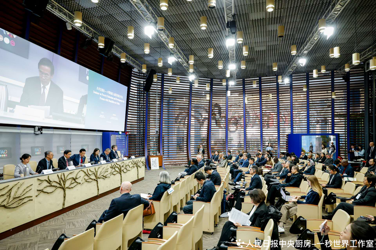 中国残疾人减贫实践分享会在罗马举行
