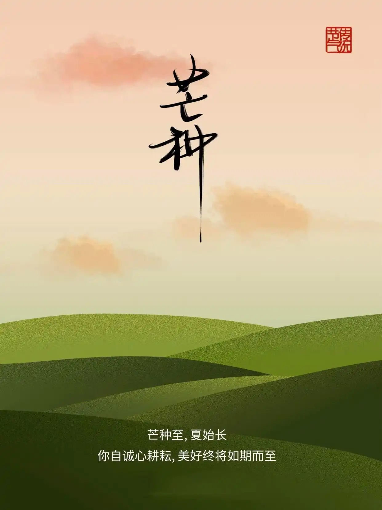 时雨及芒种，四野皆插秧。将烦恼抛给清风，把希望种进泥土，愿日子如这麦粒般饱满甘甜