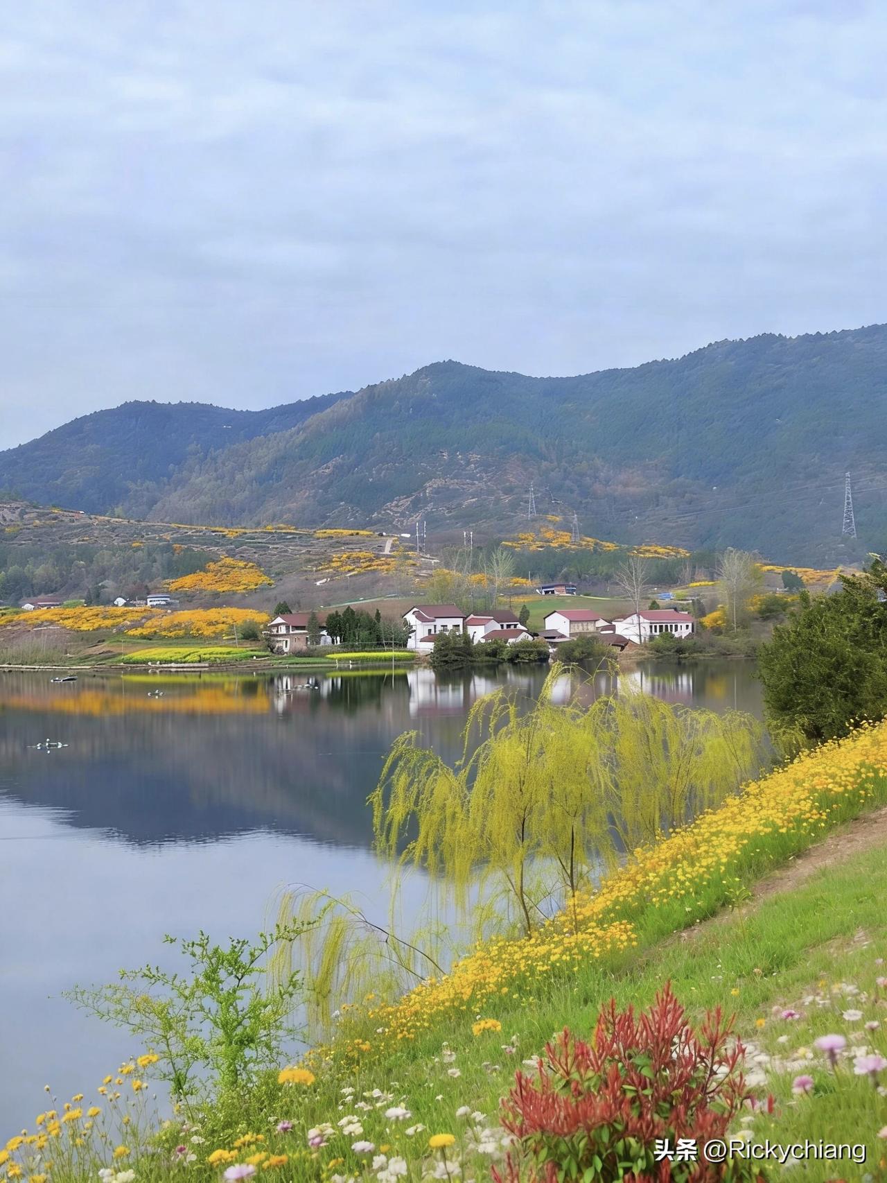 今年春天最想实现的心愿几处早莺争暖树，谁家新燕啄春泥。乱花渐欲迷人眼，浅草才能没