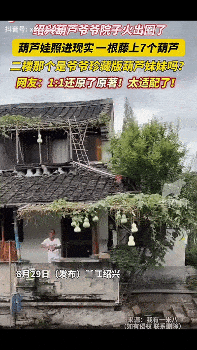 “没想到种个葫芦火到新华社了！”绍兴一老人花6块钱买了葫芦苗，5天搭成架，一开始