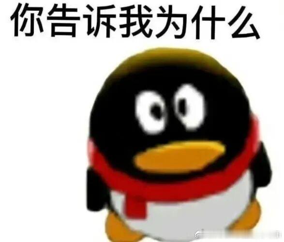张本智和4比0大勒布伦 没有对比没有伤害，当年何智丽的回旋镖🪃终究是回来了怒其