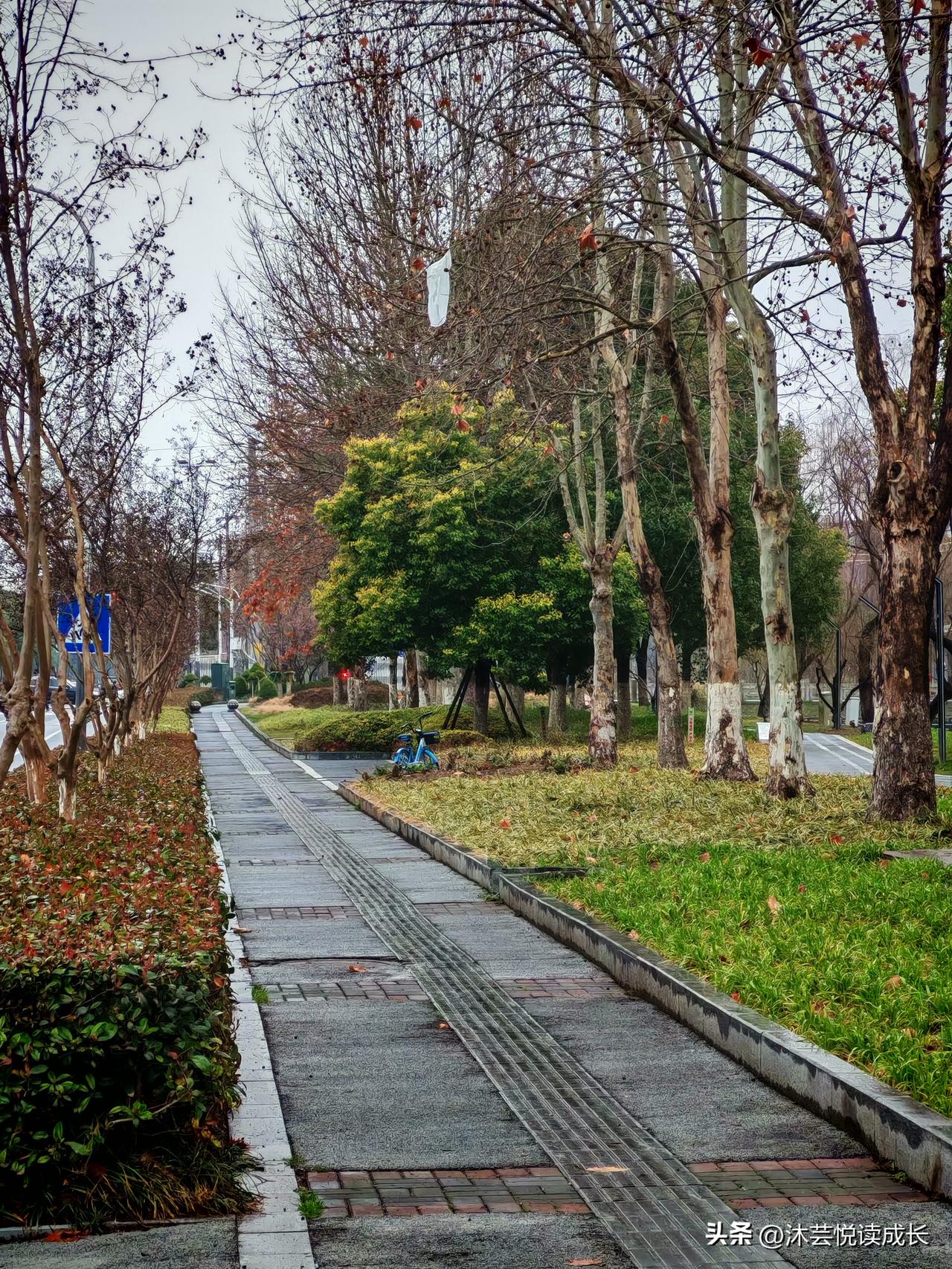 退休后才懂：最好的养生，不是补品不是锻炼，就这一个字
 
小区张叔退休前天天应酬