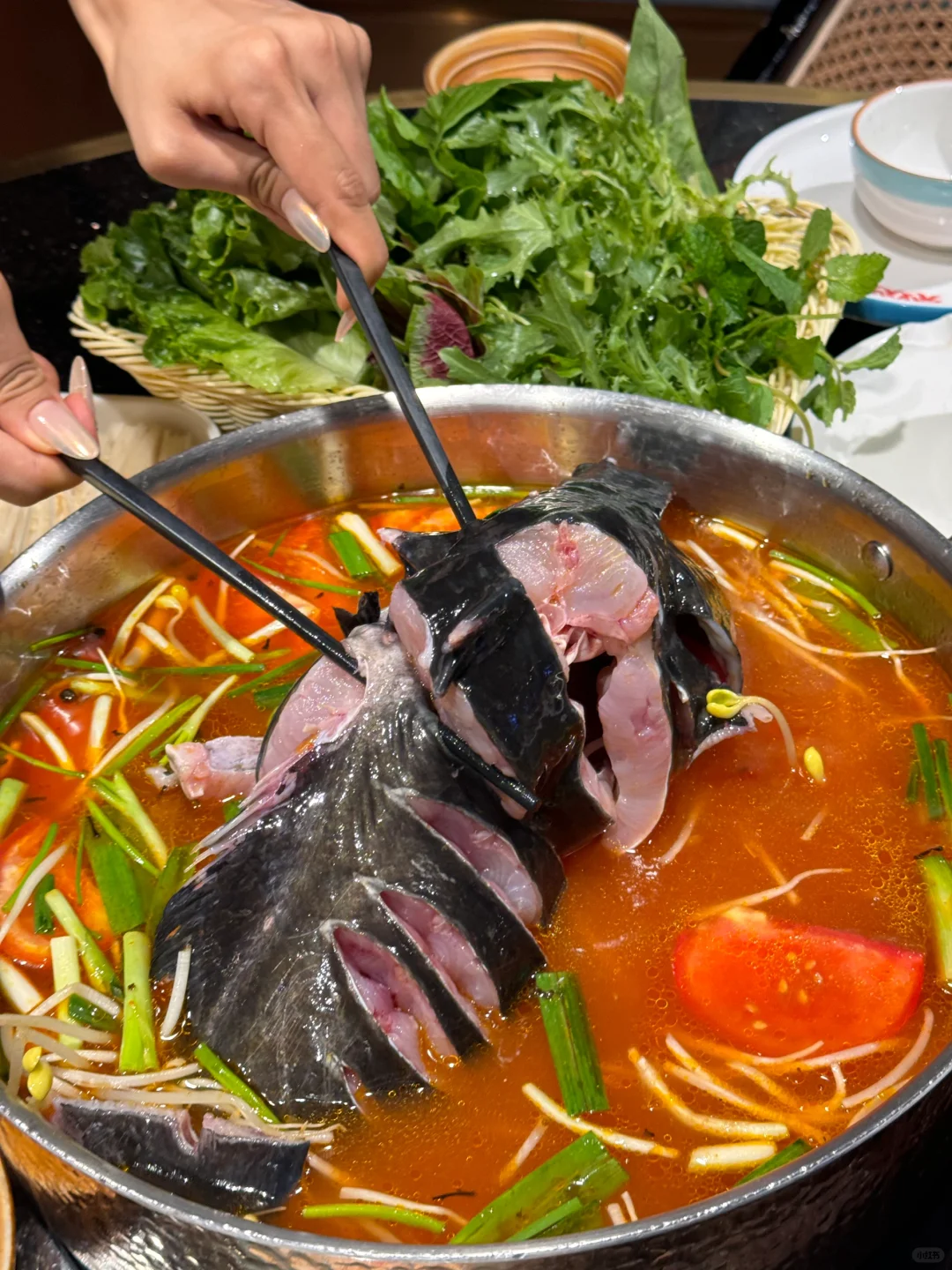 在贵阳‼️酸汤鱼🈶️歌有酒超热闹‼️