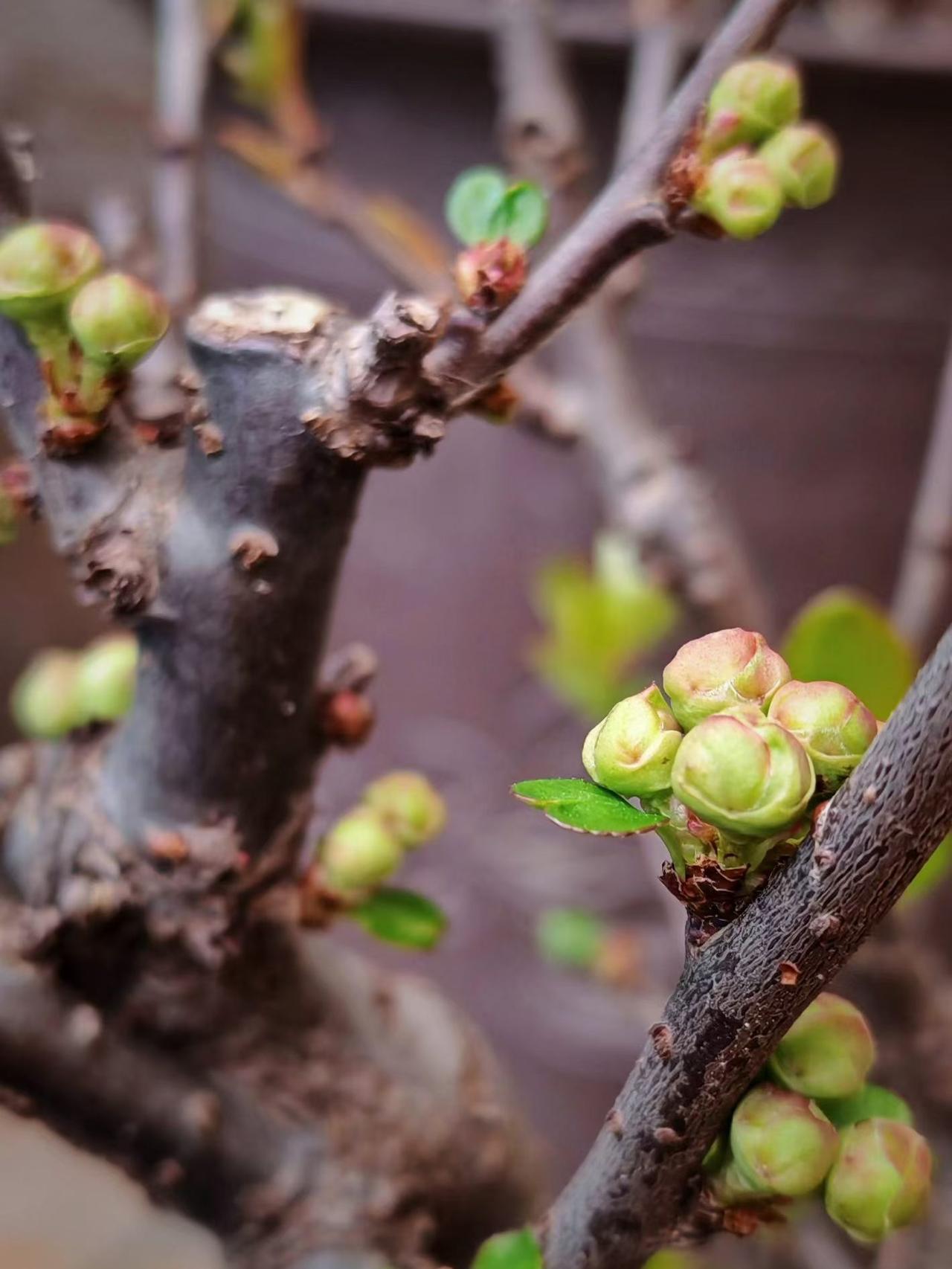 母亲去世以后，我和二姨家的表妹彻底的断亲了。

母亲在世的时候和二姨的关系非常的