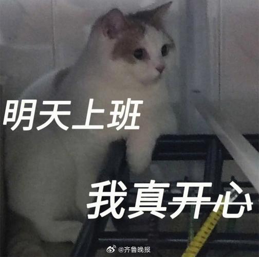 明天又要开始上班了，今晚就别熬夜啦！#晚安#