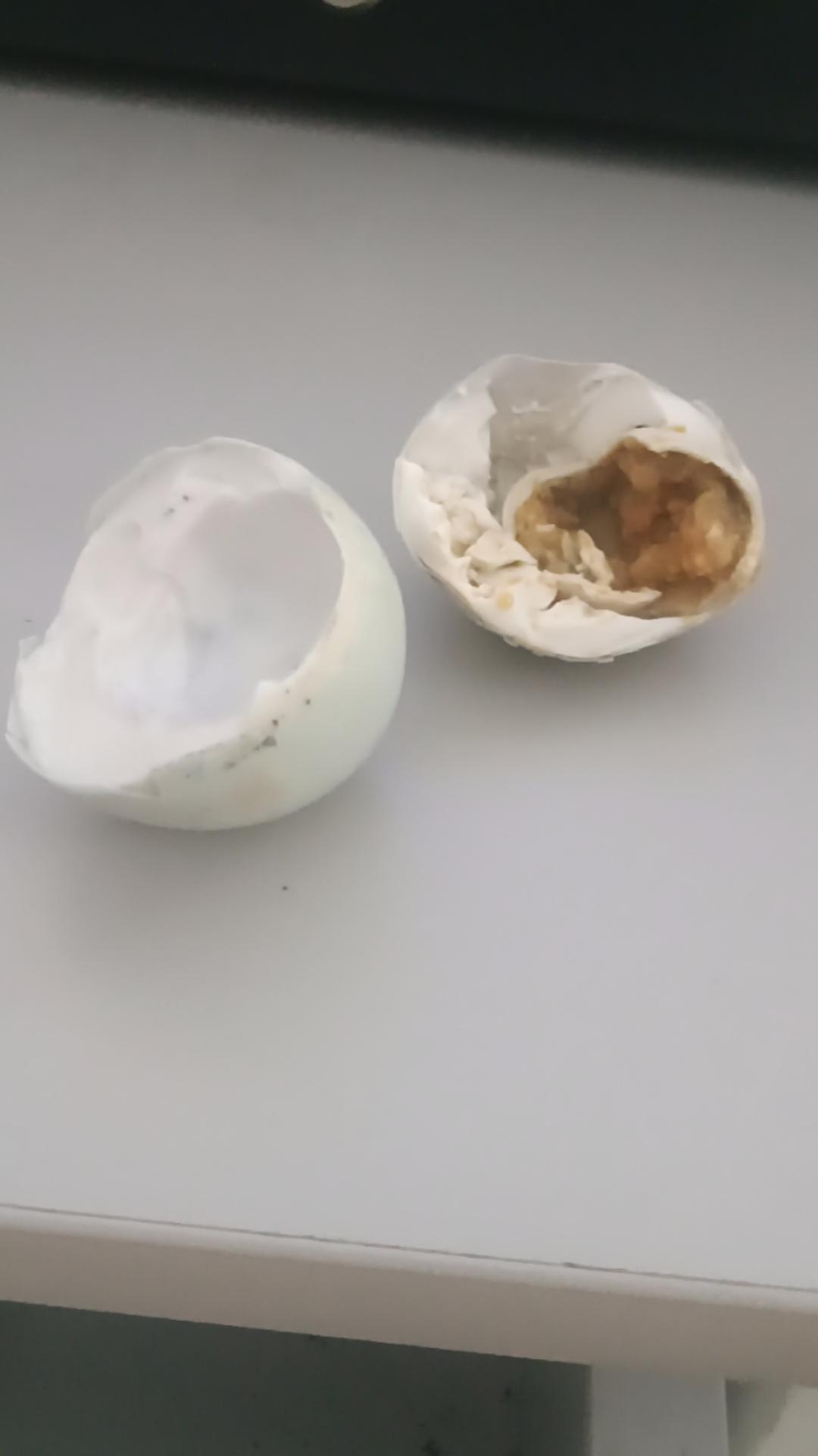 来过来尝尝这个 是不是你也欺负人！臭咸蛋