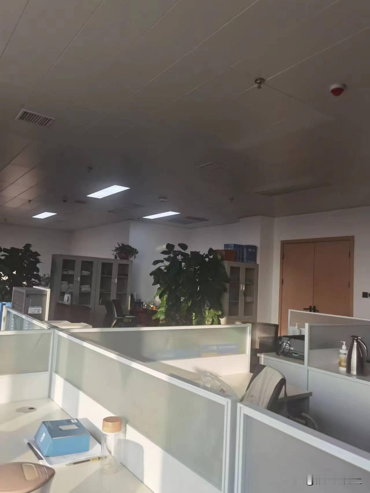 
因单位的休假政策，这两天单位办公室几乎都是空空的无人上班。
单位规定，员工当年