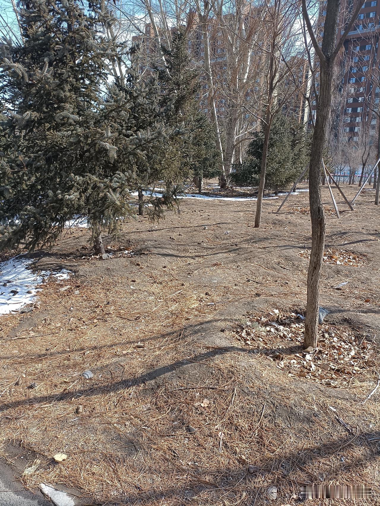 蜀地在古代地方割据政权多
蜀地在古代地方割据政权多，名单如下：
公孙述成汉政权，