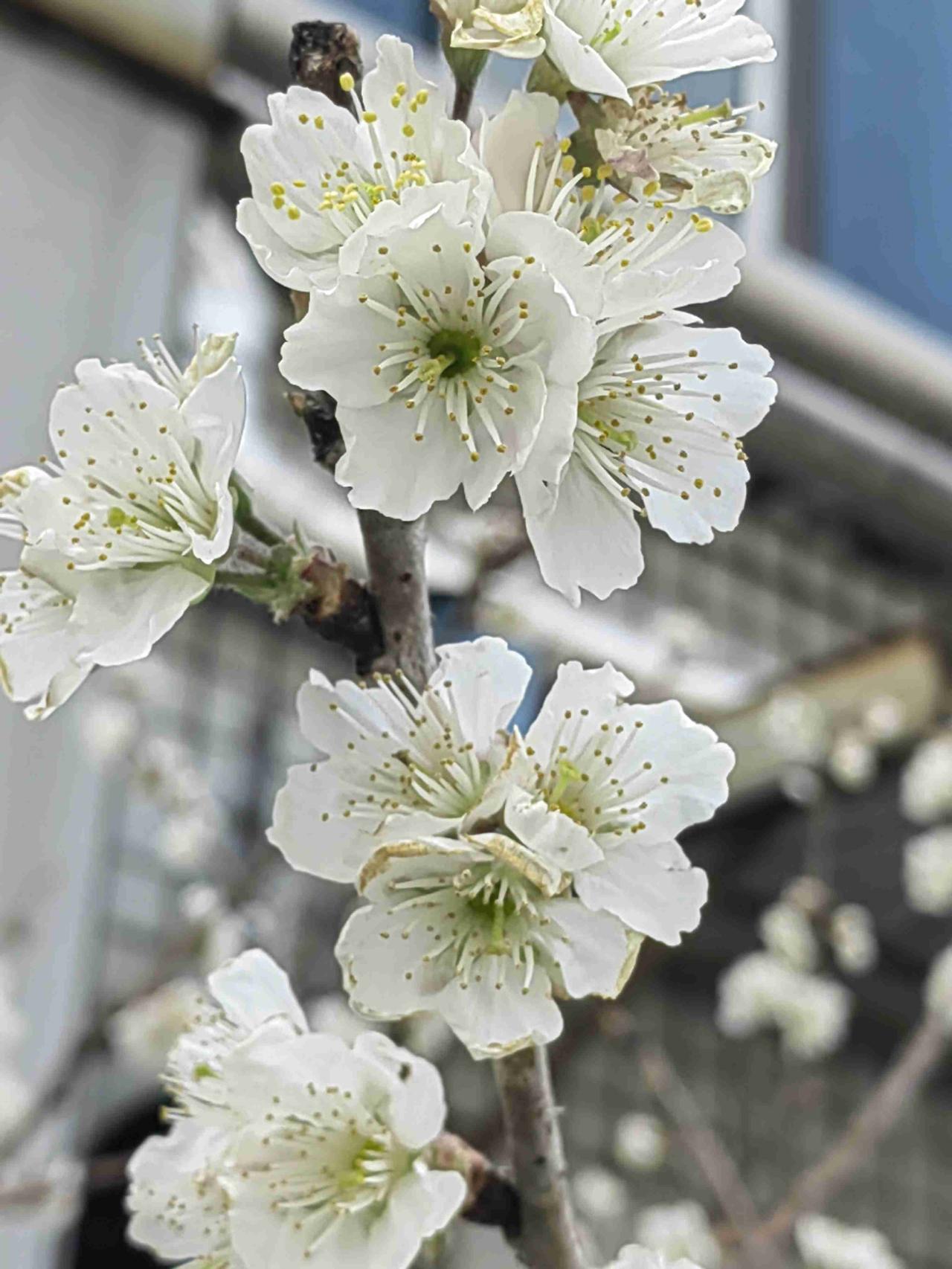 我的今日状态：💰期待暴富
我这里的天气：🌧下雨
