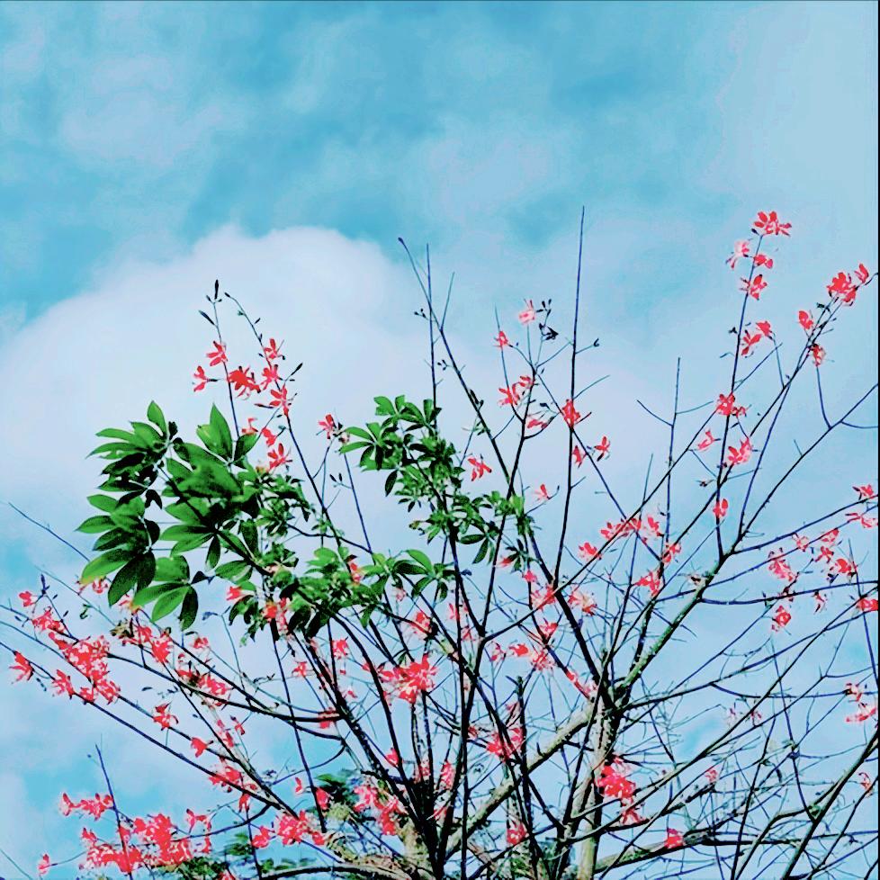 中央听取香港特别行政区、澳门特别行政区行政长官年度述职汇报传递出3个重要信号
 