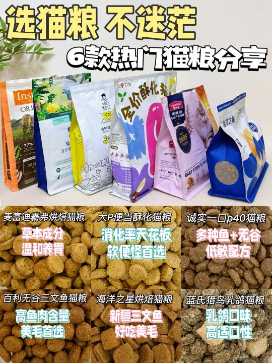 六款热门猫粮分享，总有一款适合你家小猫咪